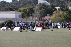 jogos de oeiras crianças a jogar futebol